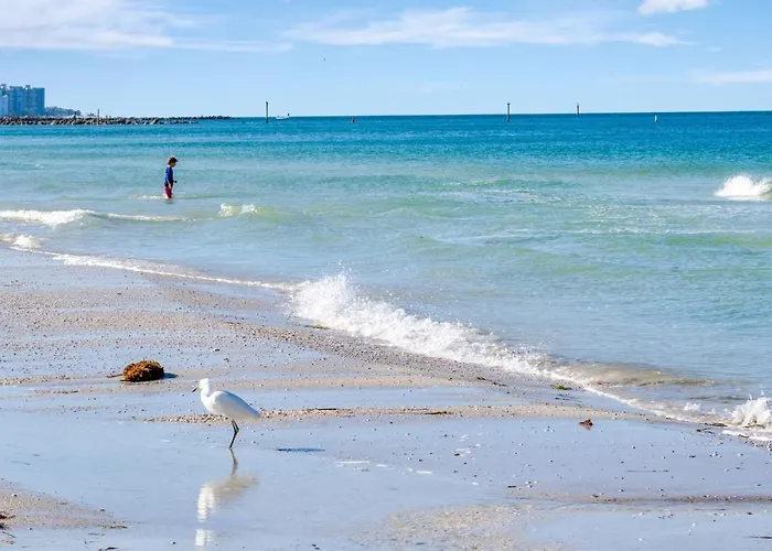 Clearwater Waterfront Modern 4bd 2big Open Loft 4bt With Pool Boat Deck Sleep 15 Ferienhaus *
