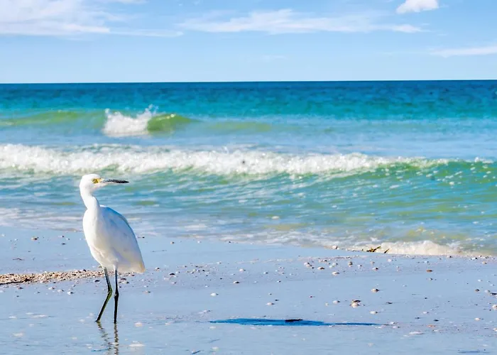 Clearwater Waterfront Modern 4bd 2big Open Loft 4bt With Pool Boat Deck Sleep 15 Ferienhaus *