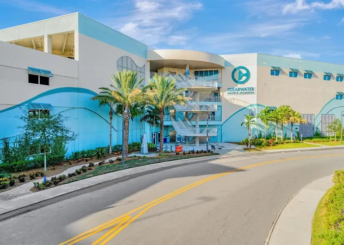 Clearwater Waterfront Modern 4bd 2big Open Loft 4bt With Pool Boat Deck Sleep 15